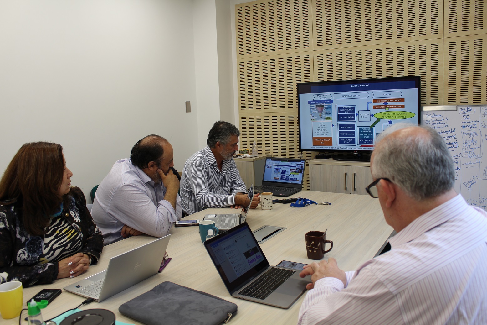 Doctorado puc-ufro-uach