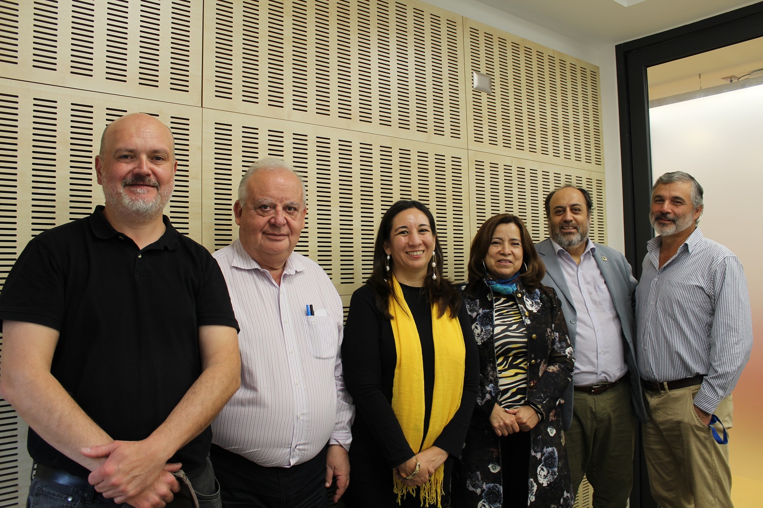 Doctorado puc-ufro-uach