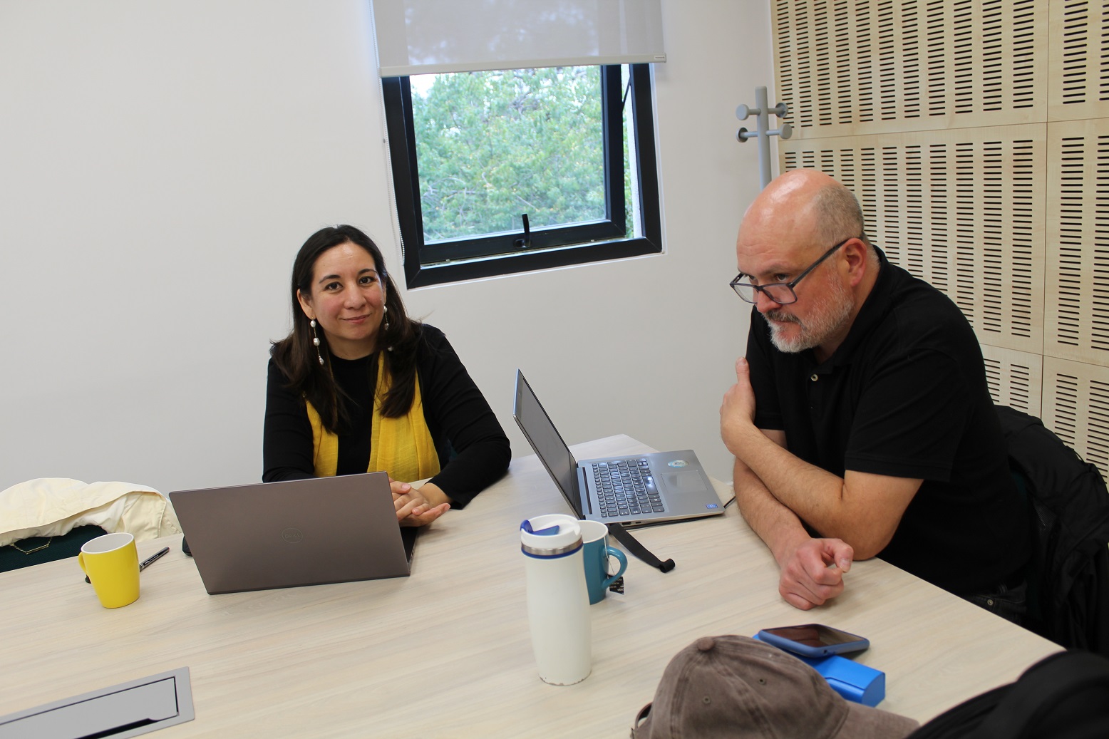 Doctorado puc-ufro-uach