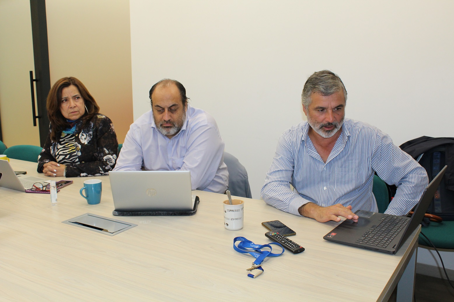 Doctorado puc-ufro-uach