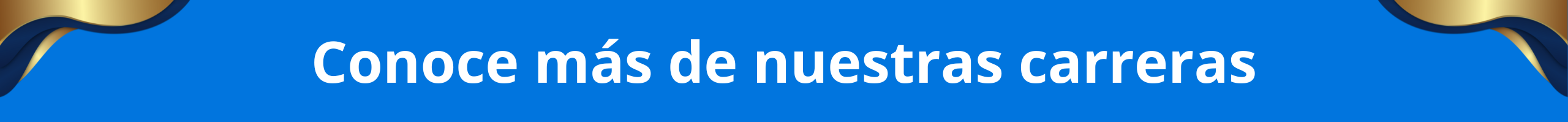 Conoce más de nuestras carreras